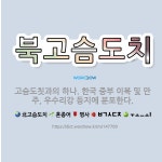 🌟북고슴도치: 고슴도칫과의 하나. 한국 중부 이북 및 만주, 우수리강 등지에 분포한다. - 표준국어대사전
