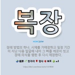 🌟복장: 장례 방법의 하나. 시체를 가매장하고 일정 기간이 지난 다음 발굴해 내어 그 뼈를 깨끗이 씻고 장... - 표준국어대사전