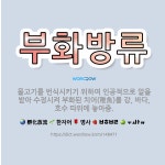 🌟부화방류: 물고기를 번식시키기 위하여 인공적으로 알을 받아 수정시켜 부화된 치어(稚魚)를 강, 바다, 호... - 표준국어대사전