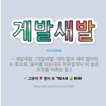 🌟게발새발: → 개발새발. (개발새발: 개의 발과 새의 발이라는 뜻으로, 글씨를 되는대로 아무렇게나 써 놓... - 표준국어대사전