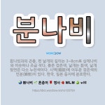 🌟분나비: 흰나빗과의 곤충. 편 날개의 길이는 3~8cm로 상제나비와 비슷하나 조금 작다. 몸은 검은색, ... - 표준국어대사전