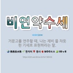 🌟비연약수세: 거문고를 연주할 때, 나는 제비 물 차듯 한 기세로 표현하라는 말. - 표준국어대사전