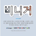 🌟비니거: 서양 식초의 하나. 보리의 엿기름, 사과주, 포도주, 증류 알코올 또는 맥주, 당밀 따위를 발효... - 표준국어대사전