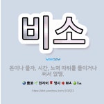 🌟비소: 돈이나 물자, 시간, 노력 따위를 들이거나 써서 없앰. - 표준국어대사전