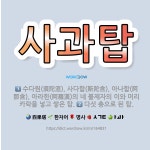🌟사과탑: 수다원(須陀洹), 사다함(斯陀含), 아나함(阿那含), 아라한(阿羅漢)의 네 불제자의 이와 머리카... - 표준국어대사전