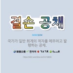 🌟결손 공채: 국가가 일반 회계의 적자를 메우려고 발행하는 공채. - 표준국어대사전