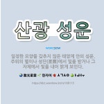 🌟산광 성운: 일정한 모양을 갖추지 않은 태양계 안의 성운. 주위의 별이나 성단(星團)에서 빛을 받거나 그... - 표준국어대사전