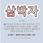 🌟삼박자: 어떤 대상에게 있어야 할 세 가지 요소., 악곡에서, 한 마디가 3박이 되는 박자. 제1박이 강... - 표준국어대사전