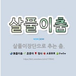 🌟살풀이춤: 살풀이장단으로 추는 춤. - 표준국어대사전
