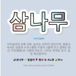 🌟삼나무: 낙우송과의 상록 교목. 높이는 40미터 정도이며, 둥글고 녹색인 암꽃과 누르스름한 수꽃이 3월에... - 표준국어대사전