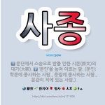 🌟사종: 문단에서 스승으로 받들 만한 시문(詩文)의 대가(大家)., ‘문인’을 높여 이르는 말. (문인: ... - 표준국어대사전