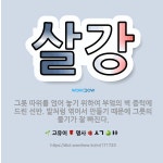 🌟살강: 그릇 따위를 얹어 놓기 위하여 부엌의 벽 중턱에 드린 선반. 발처럼 엮어서 만들기 때문에 그릇의 ... - 표준국어대사전
