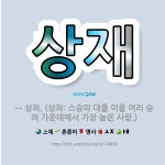 🌟상재: → 상좌. (상좌: 스승의 대를 이을 여러 승려 가운데에서 가장 높은 사람.) - 표준국어대사전