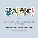 🌟상지하다: 풍수지리에서, 땅의 생김새를 보고 길흉을 판단하다. - 표준국어대사전