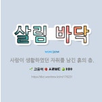 🌟살림 바닥: 사람이 생활하였던 자취를 남긴 흙의 층. - 표준국어대사전