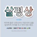 🌟살평상: 바닥에 좁은 나무오리나 대오리의 살을 일정하게 사이를 두고 박아 만든 평상. - 표준국어대사전