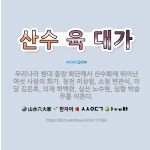 🌟산수 육 대가: 우리나라 현대 동양 화단에서 산수화에 뛰어난 여섯 사람의 화가. 청전 이상범, 소정 변관... - 표준국어대사전