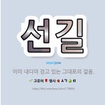 🌟선길: 이미 내디뎌 걷고 있는 그대로의 걸음. - 표준국어대사전