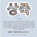 🌟상죽: 볏과의 하나. 높이는 10미터 정도이고, 왕대보다 가지는 가늘게 갈라지고 마디는 더 높이 솟는다.... - 표준국어대사전