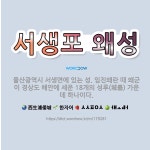 🌟서생포 왜성: 울산광역시 서생면에 있는 성. 임진왜란 때 왜군이 경상도 해안에 세운 18개의 성루(城壘)... - 표준국어대사전