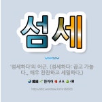 🌟섬세: ‘섬세하다’의 어근. (섬세하다: 곱고 가늘다., 매우 찬찬하고 세밀하다.) - 표준국어대사전