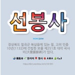 🌟선봉사: 경상북도 칠곡군 북삼읍에 있는 절. 고려 인종 10년(1132)에 건립한 보물 제251호 대각 ... - 표준국어대사전