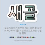 🌟새골: 물고기의 아가미 안에 있는 작은 활 모양의 뼈. 아가미를 지탱하고 보호하는 구실을 한다. - 표준국어대사전