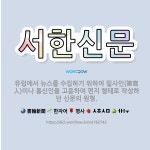🌟서한신문: 유럽에서 뉴스를 수집하기 위하여 필사인(筆寫人)이나 통신인을 고용하여 편지 형태로 작성하던 신... - 표준국어대사전