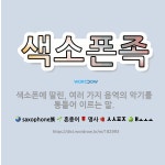 🌟색소폰족: 색소폰에 딸린, 여러 가지 음역의 악기를 통틀어 이르는 말. - 표준국어대사전