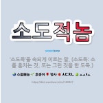 🌟소도적놈: ‘소도둑’을 속되게 이르는 말. (소도둑: 소를 훔치는 짓. 또는 그런 짓을 한 도둑.) - 표준국어대사전