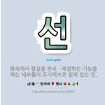 🌟선: 몸속에서 물질을 분비ㆍ배설하는 기능을 하는 세포들이 유기적으로 얽혀 있는 것. - 표준국어대사전