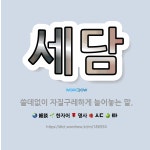 🌟세담: 쓸데없이 자질구레하게 늘어놓는 말. - 표준국어대사전
