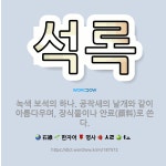 🌟석록: 녹색 보석의 하나. 공작새의 날개와 같이 아름다우며, 장식물이나 안료(顔料)로 쓴다. - 표준국어대사전