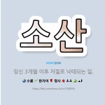 🌟소산: 임신 3개월 이후 저절로 낙태되는 일. - 표준국어대사전