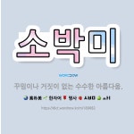 🌟소박미: 꾸밈이나 거짓이 없는 수수한 아름다움. - 표준국어대사전