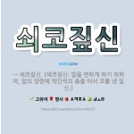 🌟쇠코짚신: → 세코짚신. (세코짚신: 발을 편하게 하기 위하여, 앞의 양편에 약간씩의 총을 터서 코를 낸... - 표준국어대사전
