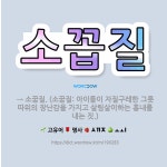 🌟소꼽질: → 소꿉질. (소꿉질: 아이들이 자질구레한 그릇 따위의 장난감을 가지고 살림살이하는 흉내를 내는... - 표준국어대사전