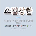 🌟소범상한: 과도한 성교로 인하여 생기는 상한증(傷寒症). - 표준국어대사전