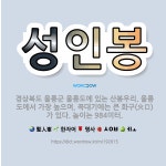 🌟성인봉: 경상북도 울릉군 울릉도에 있는 산봉우리. 울릉도에서 가장 높으며, 꼭대기에는 큰 화구(火口)가 ... - 표준국어대사전