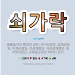 🌟쇠가락: 풍물놀이의 꽹과리 장단. 굿거리장단, 일채굿장단, 이채굿장단, 긴삼채장단, 자진삼채장단, 덩더꿍... - 표준국어대사전