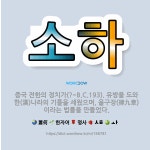 🌟소하: 중국 전한의 정치가(?~B.C.193). 유방을 도와 한(漢)나라의 기틀을 세웠으며, 율구장(律九... - 표준국어대사전