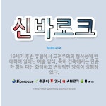 🌟신바로크: 19세기 후반 유럽에서 고전주의의 형식성에 반대하여 일어난 예술 양식. 특히 건축에서는 단순한... - 표준국어대사전