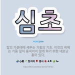 🌟심초: 탑의 가운데에 세우는 기둥의 기초. 이것의 위에는 기둥 밑이 움직이지 않게 하기 위한 네모난 홈이... - 표준국어대사전