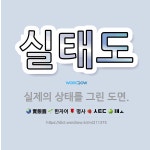 🌟실태도: 실제의 상태를 그린 도면. - 표준국어대사전