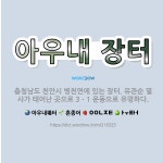 🌟아우내 장터: 충청남도 천안시 병천면에 있는 장터. 유관순 열사가 태어난 곳으로 3ㆍ1 운동으로 유명하다. - 표준국어대사전