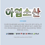 🌟아염소산: 이산화 염소를 물에 녹일 때에, 염소산과 같이 생기는 무기산의 하나. 수용액으로서만 알려져 있... - 표준국어대사전