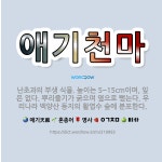 🌟애기천마: 난초과의 부생 식물. 높이는 5~15cm이며, 잎은 없다. 뿌리줄기가 굵으며 옆으로 뻗는다. ... - 표준국어대사전