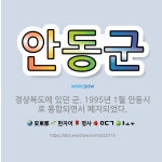 🌟안동군: 경상북도에 있던 군. 1995년 1월 안동시로 통합되면서 폐지되었다. - 표준국어대사전