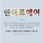 🌟엔아르에이: 미국이 뉴딜 정책의 일환으로 1933년에 설치한 정부 기관. 강력한 권한을 가지고 주요 산업... - 표준국어대사전