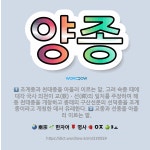 🌟양종: 교종과 선종을 아울러 이르는 말., 조계종과 천태종을 아울러 이르는 말. 고려 숙종 때에 대각 국... - 표준국어대사전